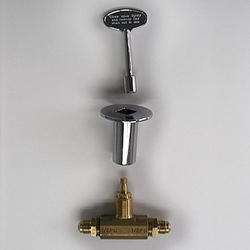 Integrated Valve with Chrome Face Plate and Key 